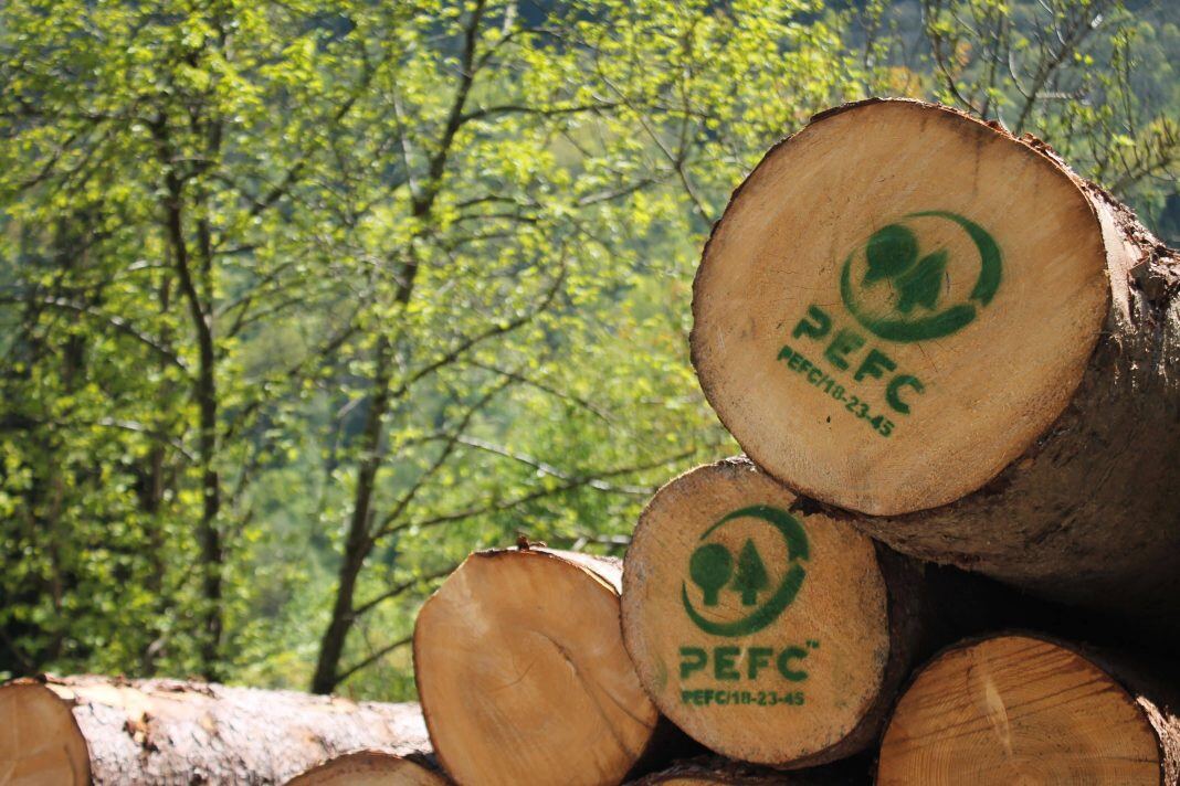 Legno-Vaia-1-1068x712