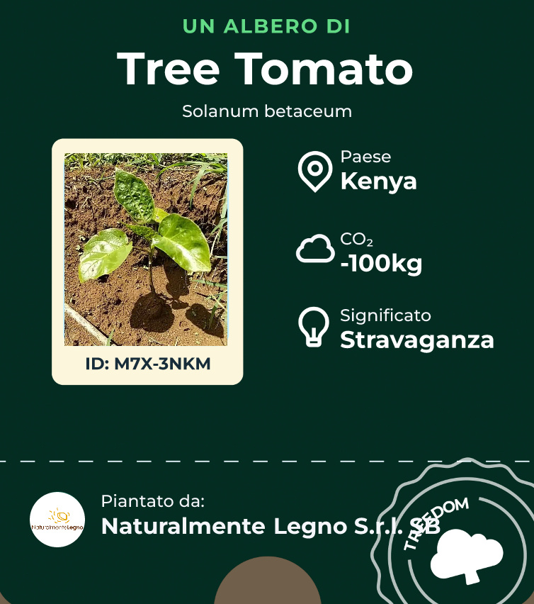 M7X-3NKM-treedom-card-1